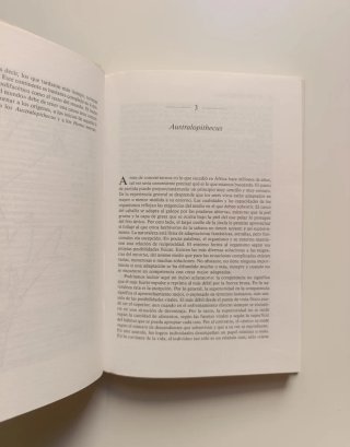 La aparición del hombre.