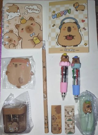 Cancelleria Capybara: quaderni, penne, matita