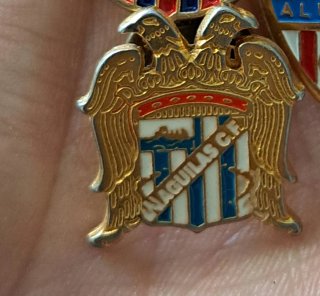 Pin del Águilas