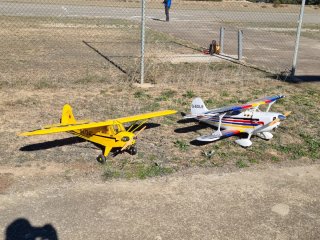 Avión RC Piper Cub J3 Carl Goldberg anniversary ed