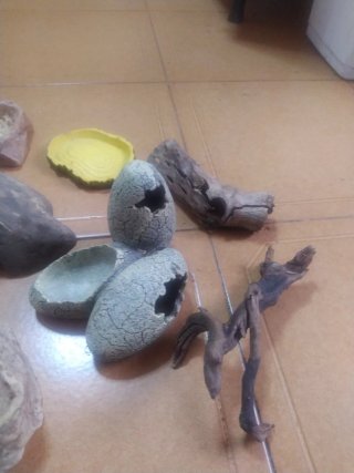 Adornos para terrario