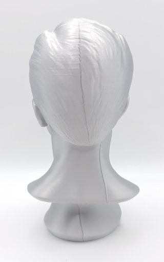 Busto Surrealista L'Oceano in un Volto Statua 3D