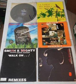 30 Discos de Vinilo Variados