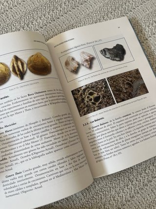 Libro nuestra querida piedra ostionera