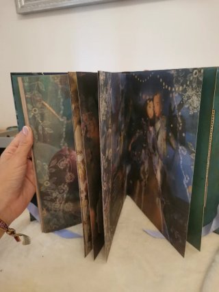 Libro las doce princesas bailarinas