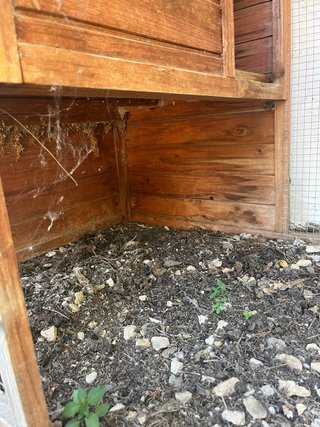 Gallinero de madera con jaula