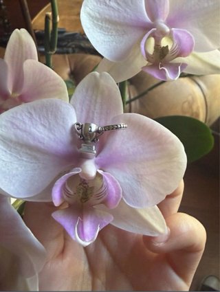 Charm Pandora Trofeo Plata