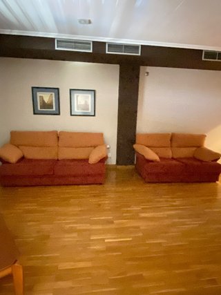 Conjunto de 2 sofás de tela lavable