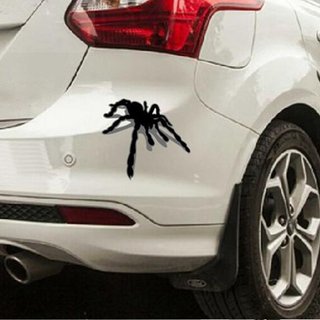 pegatina araña para vehículos, o gatito