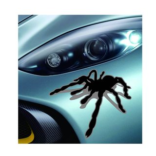 pegatina araña para vehículos, o gatito