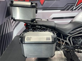 TRIUMPH Tiger 800 XR X