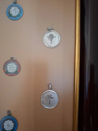 Cuadro Medallas Camelias
