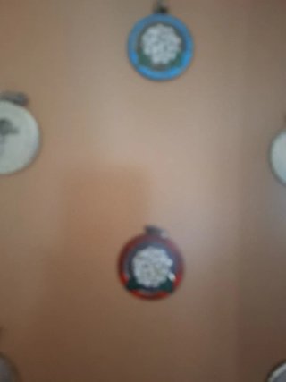 Cuadro Medallas Camelias