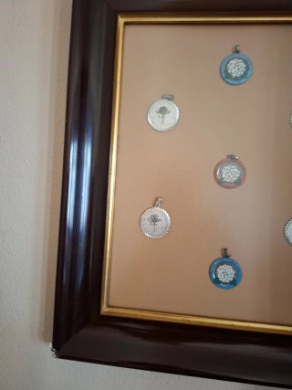 Cuadro Medallas Camelias