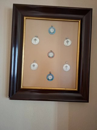 Cuadro Medallas Camelias