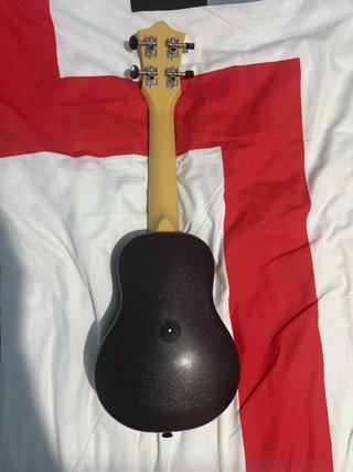 Ukelele Flight