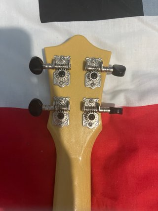 Ukelele Flight