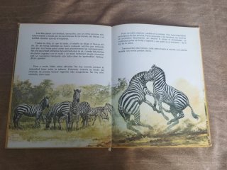 Libro animales en libertad