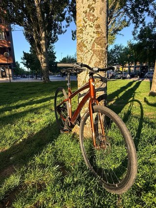 Bicicleta Lapierre Sit and Go 300
