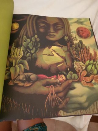 Album ilustrado Frida