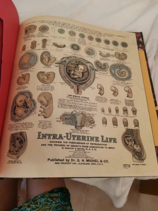 Album ilustrado Frida