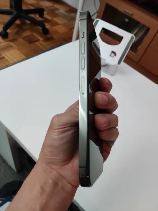 iPhone 13 Pro Max 256GB Gris