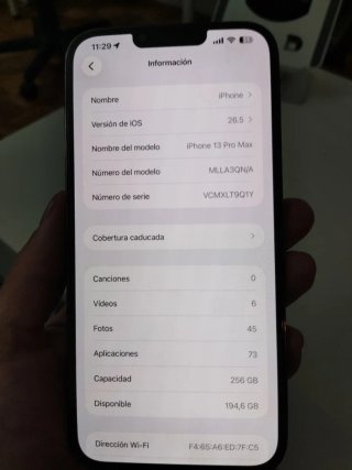 iPhone 13 Pro Max 256GB Gris
