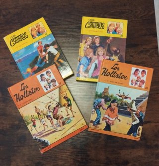 Libros de los Hollister y los Gemelos