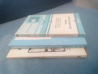 El desarrollo del pensamiento conceptual en la ...