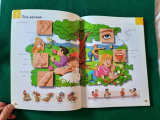 Diccionario inglés-español RICHMOND PICTURE DICTIO