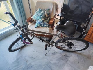 Bicicleta de Montaña Gris