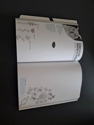 Libro Infantil ¡A la montaña!