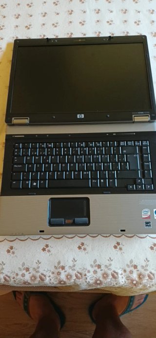 Portátil HP 6730b Gris/Plateado
