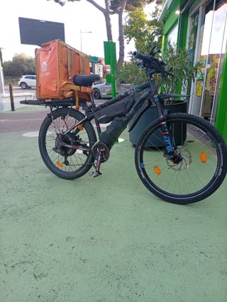 Bicicleta Eléctrica 1000W
