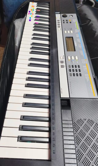 Teclado Yamaha YPT-240