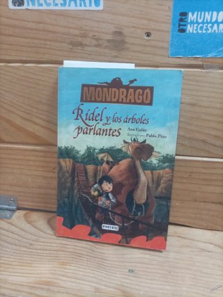 Lectura para niños de 9-10 años IV