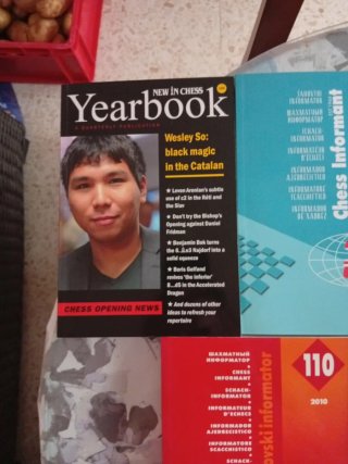 Libros de ajedrez en ingles