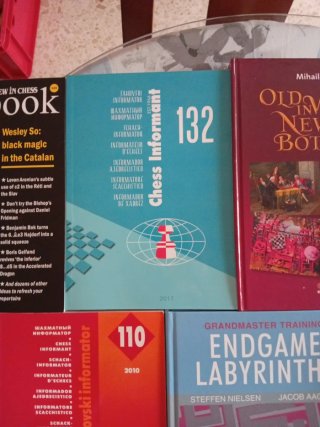 Libros de ajedrez en ingles
