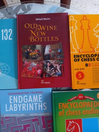 Libros de ajedrez en ingles