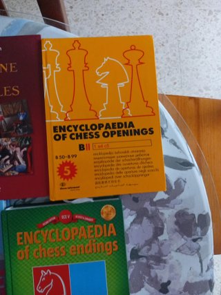 Libros de ajedrez en ingles