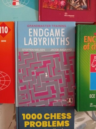 Libros de ajedrez en ingles