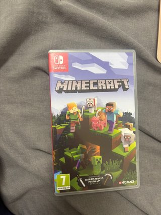 Minecraft Nintendo Switch