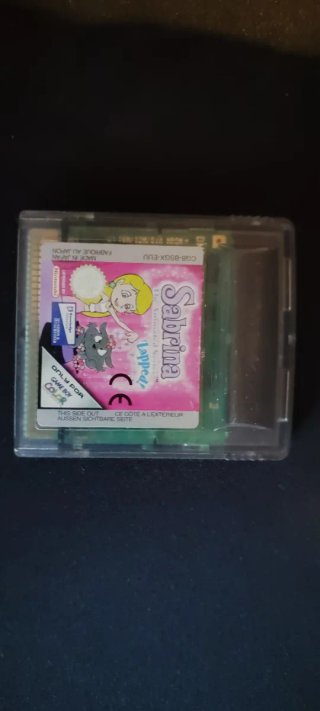 Sabrina The Animated Series: Lapped! Game Boy Colo