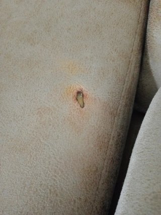 Sofá seccional beige tela