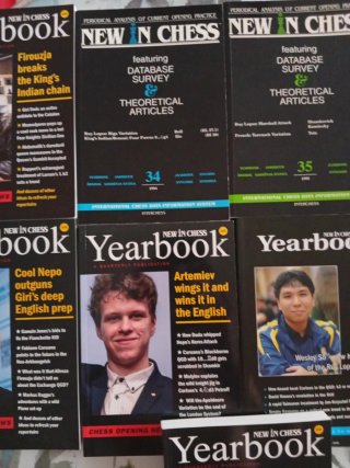 Libros de ajedrez en ingles