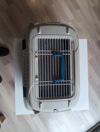 Transportín para gatos beige y azul
