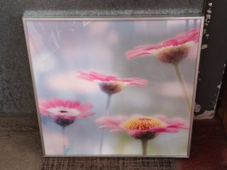 Cuadro Flores Rosas Ikea