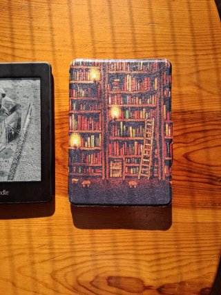 Amazon Kindle DP75SDI Negro