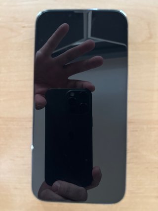iPhone 13 Pro Max 256GB