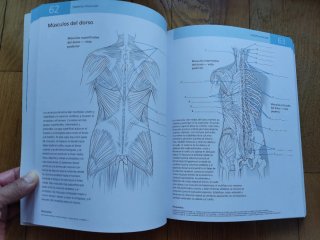 Anatomía humana - Método de autoaprendizaje